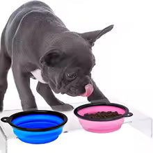 Comedero portatil para perros